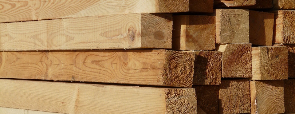 Wo kann man Holz zum Schnitzen kaufen?